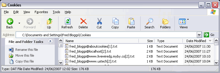 An image of what your Cookies folder may look like